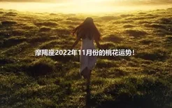 摩羯座2022年11月份的桃花运势！