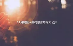 11月属鼠人桃花暴涨妙招大公开